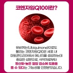 혈압 건강관리 항산화 코큐텐 플러스 30캡슐 내츄럴플러스 혈압계 종합비타민 미네랄 : 당진프리덤