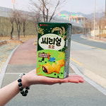 롯데 씨리얼 초코 42g : 코코리빙마트