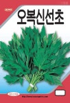 씨앗매점 미네랄류가 풍부한 오복신선초 씨앗 1g : 씨앗매점