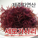 (연구용) 제주 세모가사리 1kg : 올레바당 - 제주씨그린
