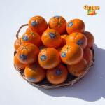 고당도 감귤 큐티스 썬키스트 pleeze 만다린 귤 1kg 미국 귤 골든너겟 : 덕수네 식탁