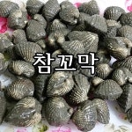 귀한 벌교참꼬막 2kg 제철 꼬막 비빔밥 손님접대 순차적으로 발송 : 보성농수산