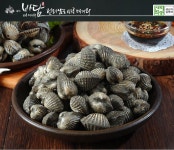 귀한 벌교참꼬막 2kg 제철 꼬막 비빔밥 손님접대 순차적으로 발송 : 보성농수산