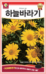 다농 하늘바라기 씨앗 100립 거짓해바라기 다년생 야생화 꽃 씨앗 씨 종자 : 장보고팜