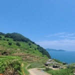 남해·하동, 자연과 전통을 품은 여행 [1박2일] : 주식회사 여행공방