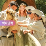 푸꾸옥 빈펄 사파리 주키퍼 투어 먹이주기 사육사 체험 : 피크타임:PEAKTIME