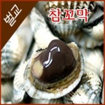 귀한 벌교참꼬막 2kg 제철 꼬막 비빔밥 손님접대 순차적으로 발송 : 보성농수산