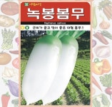 녹봉 봄무 씨앗 300립 채소 작물 종자 아람종묘 : 농업회사법인 사천원예농업