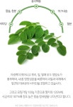 모링가 분말 500g 모링가잎 가루 1팩 2팩 : 쥬쥬스픽