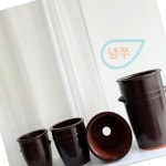 녕쭈 콩시루 화분 1호 미니화분 인테리어화분 : 녕쭈