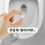 토퓸 토일렛 퍼퓸 화장실 욕실 방향제 변기 향수 (30정) : 아로마카롱