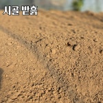 시골텃밭흙 6kg 실내 베란다 농작물 채소재배용 화분분갈이흙 : 광림아그로