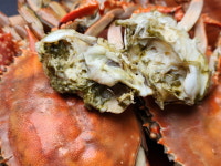 국내산 꽃게 1kg 알배기 숫꽃게  암꽃게 봄 가을 급냉 연평도 냉동꽃게 신선꽃게 꽃게탕 꽃게무침 간장게장 : 온늘농수산