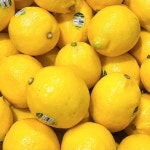 팬시 레몬 165과 : 행복꿈