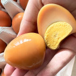 [프레그] 동물 생태학 석사 홍유신의 동물복지 구운란 20구 : 프리본 몰