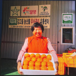 밀양 감고을농원 부유 단감 5kg 10kg : 감고을
