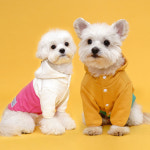 플로트 아노락 후드 강아지 집업 애견 티셔츠 봄 가을 옷 : 플로트