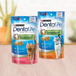 퓨리나 덴탈 라이프 캣 트릿 치킨 51g 고양이 치석제거 이빨간식 : 심콩 : 스토어