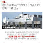 덴마크 직수입 100억 유산균 30포 lgg 임산부 락토바실러스람노서스 람노스 수유부 : 미라클네이처