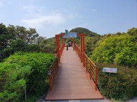 장사도유람선 장사도해상공원 동백섬 패키지 프로모션 : 돌고래여행사-돌핀스토어