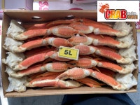 활대게 퀄리티, 러시아산 프리미엄 대게 5kg-5L 신선 급냉, 품질 보장 : 크랩온더테이블