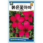 붉은꽃아마(스칼렛) 1g 꽃씨 일년생 씨앗 봄 여름 가을 야생화 다농 농사마트 : 농사마트