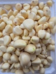 [2025 경북의성] 햇 깐마늘 500g. 홍산유황마늘 : 의성마늘농사꾼