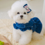 펫츠앤미 러브 데님 강아지 하네스 옷 XS 애견 가슴줄 벨크로 봄 여름 산책 명품 청조끼 : PICKYSHOP 피키샵