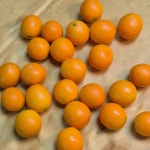 금귤정과용 낑깡 금귤 500g 1kg 2kg : 홈앤투게더