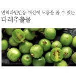 면역밸러스엔 다래추출물 액상 스틱 1box 30포 면역 균형 과민반응 건강기능식품 : 영양연구소