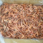 [웰빙건어물]국산 홍새우 독도홍새우 울진 홍새우 250g 한봉 육수용 천연조미료 최상급 술안주 튀김용 : 웰빙건어물