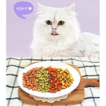 더캣츠 쿠키 꽁냥꽁냥 스낵 북어+연어, 100g, 1개 : 바른펫