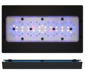 에코텍 마린 라디온 XR30 Blue G6 Radion XR30 Blue G6 : 동물나라수족관