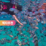나트랑 호핑투어 어메이징 스노쿨링 픽업샌딩포함 : 피크타임:PEAKTIME