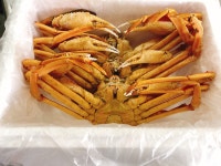 아이에스씨푸드 러시아 자숙대게 4kg : 아이에스씨푸드