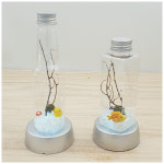 반려식물마리모어항만들기(사각&와인병)미니1인(조명포함) : 라온교육