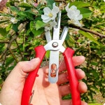 작은 식물 좁은 공간 가지치기 가위 U자 안전 슬롯 전지 가위 (A1315) : 용천삼리