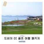 경상남도 거제 드비치 CC 1박 2일 골프 여행 : 세이브투어마곡