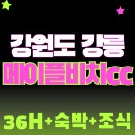 강릉 메이플비치cc 1박2일 3월 사전예약 골프여행 : 자이언트1박2일골프