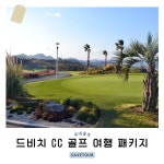 경상남도 거제 드비치 CC 1박 2일 골프 여행 : 세이브투어마곡