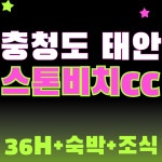 3인 라운딩 가능한 충청도 태안 스톤비치cc 1박2일 골프패키지 : 일박이일자이언트골프