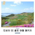 경상남도 거제 드비치 CC 1박 2일 골프 여행 : 세이브투어마곡