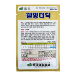 웰빙더덕 3g 대농종묘 씨앗 종자 과채류 텃밭 야채 심기 키우기 농사 주말농장 : 풍곡영농자재