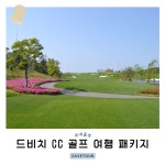 경상남도 거제 드비치 CC 1박 2일 골프 여행 : 세이브투어마곡