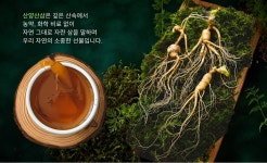 [참자연]산꿀산양산삼 : 참자연영농조합법인