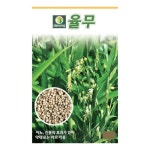 율무 50립 잡곡류 씨앗 채소 종자 다농 농사마트 : 농사마트