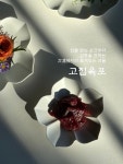 소고집 한우암소 고집육포 1호 반건조 육포 구정 설날 추석 선물세트 가정의달 남녀노소 : 소고집