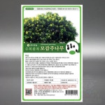 모감주 나무 씨앗 20g 염주 선비수 학자수 방풍림 가로수 관상용 조경 수목 종자 씨 : 장보고팜스토어