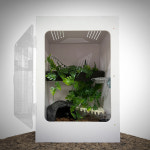 NRC 포맥스사육장 303045cm 붙이류게코 크레사육장 NP-2 : 뉴런렙타일