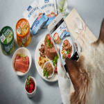 고양이간식 고양이캔 동원 뉴트리플랜 습식캔 먹이 통조림 참치+크릴새우, 160g, 24개 : 아지유통